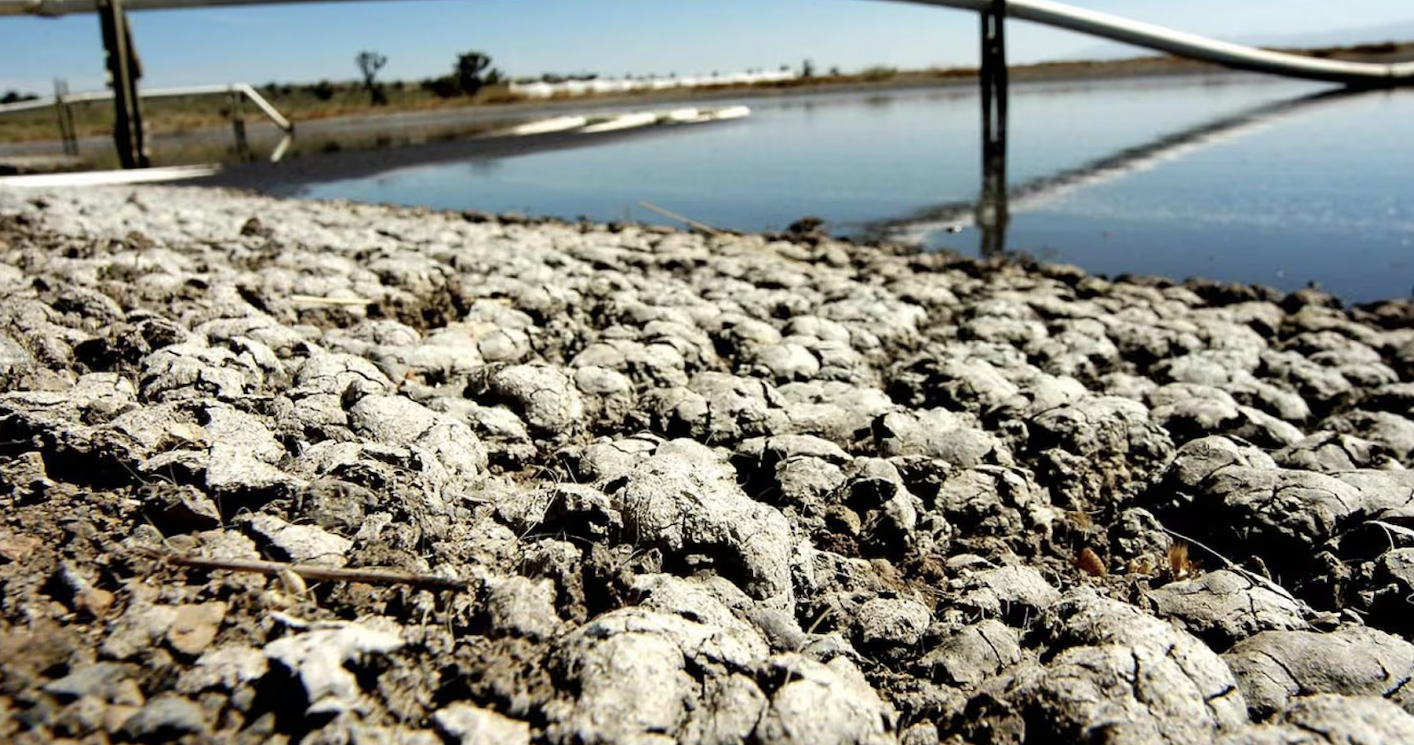 Veracruz – Clausuran 1 de las 51 plantas de Granjas Carroll en Veracruz tras acusación por contaminar el agua (El Financiero)